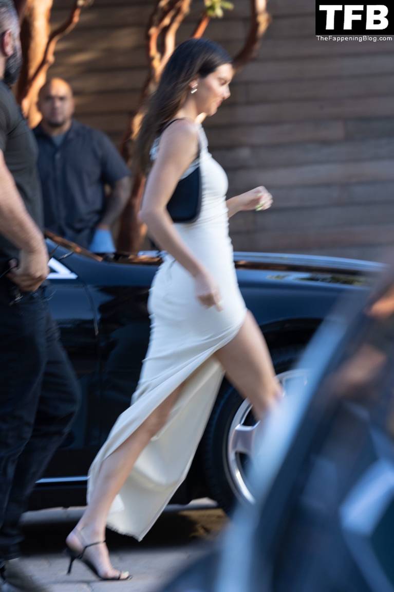 Kendall Jenner Dress 21