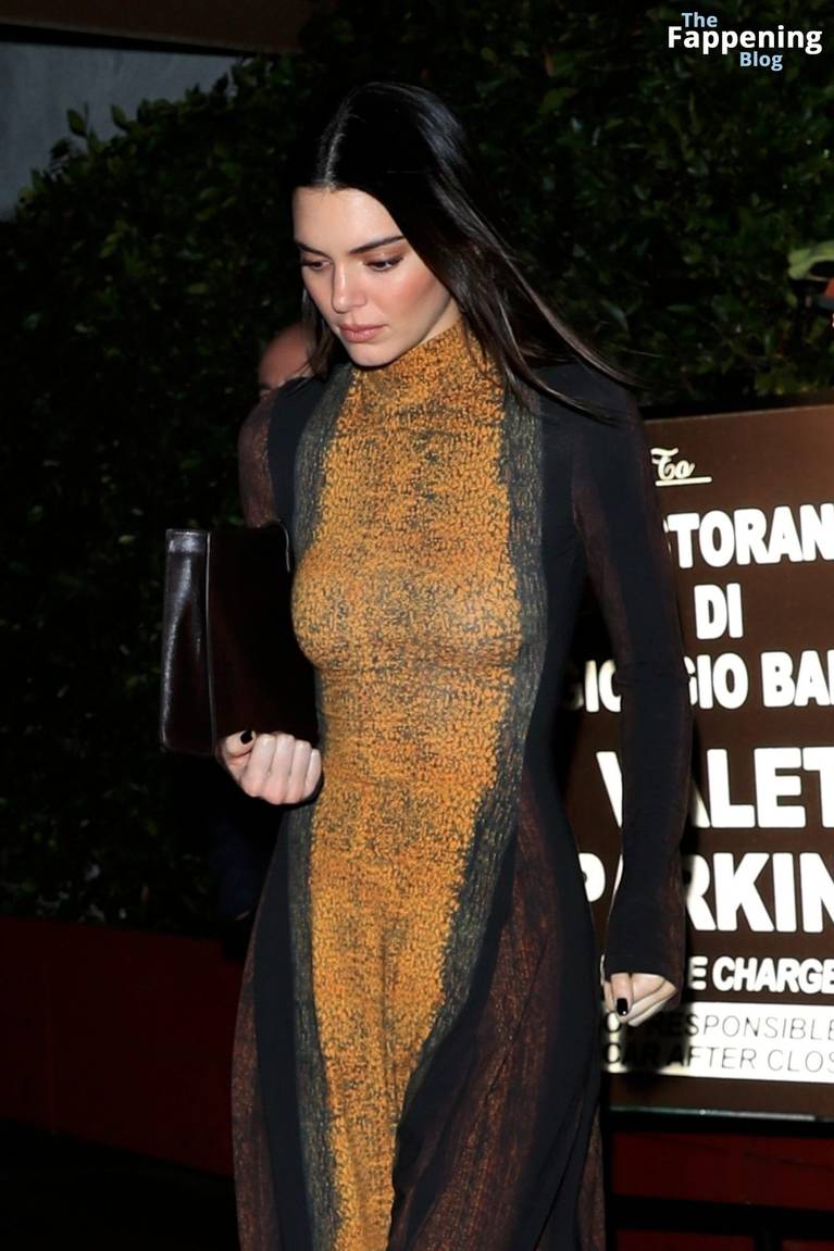 Kendall Jenner Sexy Dress 3