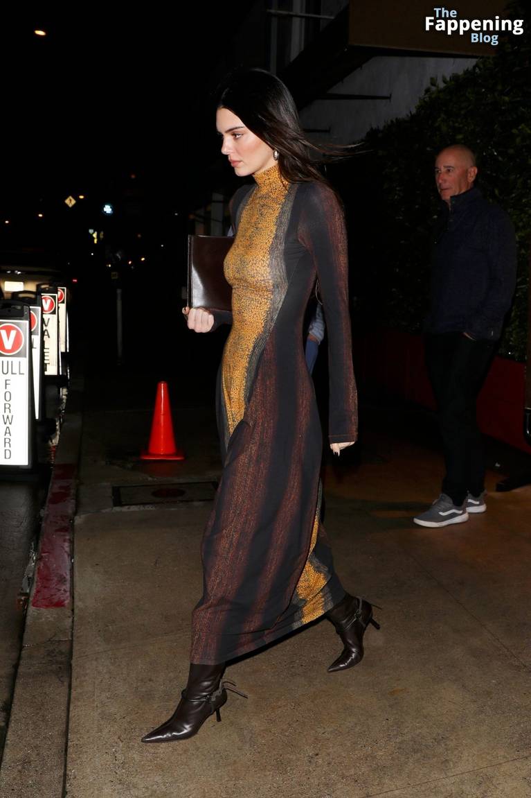 Kendall Jenner Sexy Dress 8