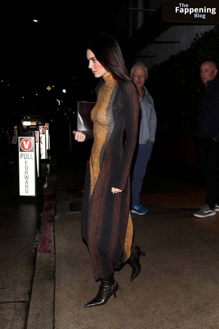 Kendall Jenner Sexy Dress 10