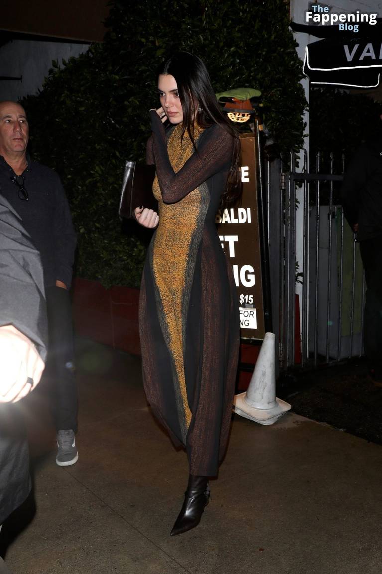 Kendall Jenner Sexy Dress 23