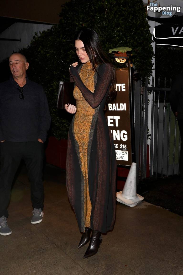 Kendall Jenner Sexy Dress 24