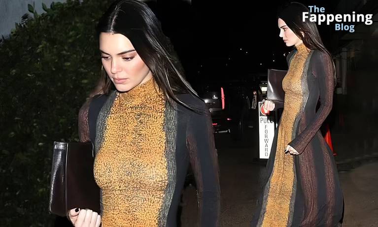 Kendall Jenner Sexy Dress 26