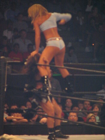 WWE Michelle McCool