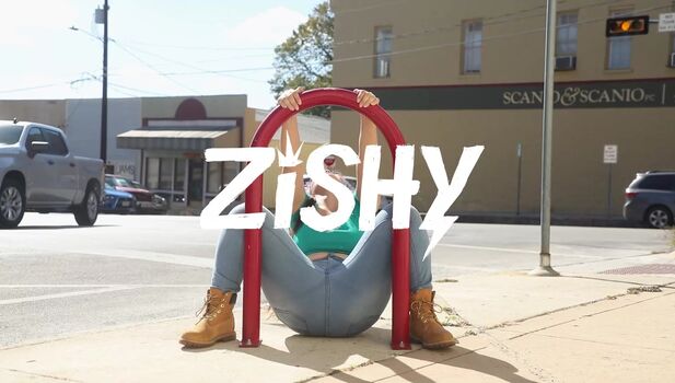 Zishy